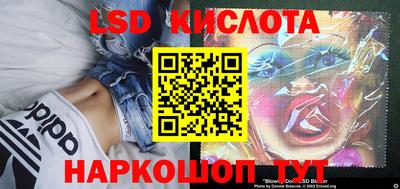 гашиш Новодвинск