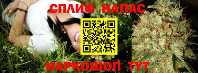 метадон Новозыбков