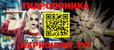 гашиш Новодвинск